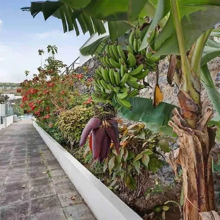 Paradise Studio Belair Wifi, Piscina, Parking Apartment